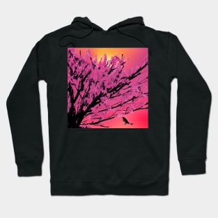 Lonely Afterglow Hoodie